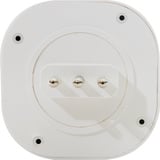 Shelly Plus Plug IT , Schaltsteckdose weiß, Typ L