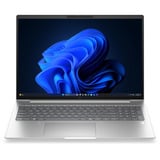 HP EliteBook 6 G2a (E02FXET), Notebook silber, AMD Ryzen 7 PRO 250, AMD Radeon 780M, 32 GB LPDDR5X, 1 TB (1 TB SSD), Windows 11 Pro