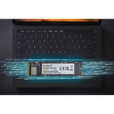 Intenso MI500 2 TB, SSD PCIe 4.0 x4, NVMe 1.4, M.2 2280