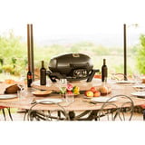 Napoleon TRAVELQ PRO285 Set, Gasgrill schwarz, inkl. Grillplatte, Warmhalter, Haube