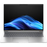 HP ProBook 4 G1i (AD2N7ET), Notebook silber, Intel® Core™ Ultra 5 225U, Intel® Graphics, 16 GB DDR5, 512 GB (512 GB SSD), Windows 11 Pro