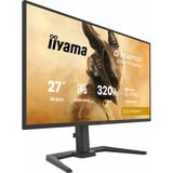 iiyama G-MASTER GB2791QSU-B1, Gaming-Monitor 68.5 cm (27 Zoll), schwarz (matt), QHD, Fast-IPS, HDMI, DP, USB-Hub, 320Hz Panel