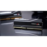 G.Skill DIMM 128 GB DDR5-6000 (2x 64 GB) Dual-Kit, Arbeitsspeicher schwarz, F5-6000J3444F64GX2-TZ5NR, TZ5 Neo, INTEL XMP, AMD EXPO