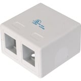 Digitus Konsolidierungs-Punkt Gehäuse, für 2x Keystone Module weiß, Aufputzbox, 2-Port