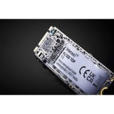Intenso TOP 256 GB, SSD SATA 6 Gb/s, M.2 2280
