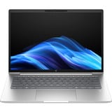 HP ProBook 4 G1a (AD2N0ET), Notebook silber, AMD Ryzen 5 230, AMD Radeon 760M, 16 GB DDR5, 512 GB (512 GB SSD), Windows 11 Pro