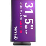 TERRA 3295W PV, LED-Monitor 80 cm (31.5 Zoll), schwarz (matt), UltraHD/4K, IPS, HDMI, DP, USB-C, USB-Hub