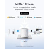 SwitchBot Plug Mini, Schaltsteckdose weiß