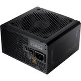 FSP ADVAN GM 750W, PC-Netzteil 1x 12-Pin High Power GPU, 4x PCIe, Kabelmanagement, 750 Watt