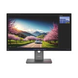 Lenovo ThinkVision P32UD-40, LED-Monitor 80 cm (31.5 Zoll), schwarz, UltraHD/4K, IPS, HDMI, DP, Thunderbolt 4, USB-Hub, 120Hz Panel