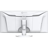 EIZO FlexScan EV3851X, LED-Monitor 95.3 cm (37.5 Zoll), weiß, Curved, HDMI, DP, USB-C, USB-Hub