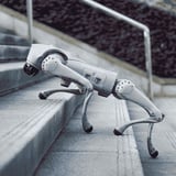 Unitree Go2 Pro, Roboter grau, Inklusive Fernbedienung