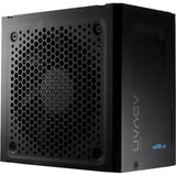 FSP ADVAN GM 850W, PC-Netzteil 1x 12-Pin High Power GPU, 4x PCIe, Kabelmanagement, 850 Watt