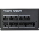 SilverStone Triton 650Rz, PC-Netzteil schwarz, 1x 12-Pin High Power GPU, 2x PCIe, Kabelmanagement, 650 Watt