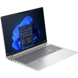 HP ProBook 4 G1i (AD2P1ET), Notebook silber, Intel® Core™ Ultra 7 255U, Intel® Arc™ 140T, 32 GB DDR5, 1 TB (1 TB SSD), Windows 11 Pro