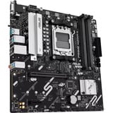 ASUS PRIME A620AM-A-CSM, Mainboard 