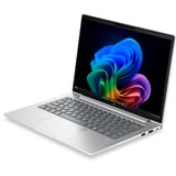 HP ProBook 4 G2i 14 AI (E04FVET), Notebook silber, Intel® Core™ 5 320, Intel® Graphics, 32 GB LPDDR5X, 512 GB (512 GB SSD), Windows 11 Pro