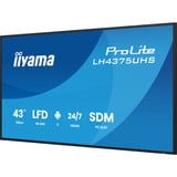 iiyama ProLite LH4375UHS-B2AG, Public Display schwarz (matt), UltraHD/4K, IPS, Lautsprecher, Daisy Chain