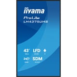 iiyama ProLite LH4375UHS-B2AG, Public Display schwarz (matt), UltraHD/4K, IPS, Lautsprecher, Daisy Chain