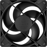ARCTIC P14 Pro Reverse, Gehäuselüfter schwarz, 3er Pack, 140 mm