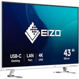 EIZO EV4340X-WT, LED-Monitor 108 cm (42.5 Zoll), weiß, UltraHD/4K, IPS, Fernbedienung, USB-C