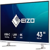 EIZO EV4340X-WT, LED-Monitor 108 cm (42.5 Zoll), weiß, UltraHD/4K, IPS, Fernbedienung, USB-C