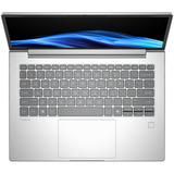 HP ProBook 4 G1i (AD2N4ET), Notebook silber, Intel® Core™ Ultra 7 255H, Intel® Arc™ 140T, 32 GB DDR5, 1 TB (1 TB SSD), Windows 11 Pro