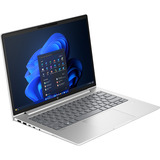 HP ProBook 4 G1i (AD2N4ET), Notebook silber, Intel® Core™ Ultra 7 255H, Intel® Arc™ 140T, 32 GB DDR5, 1 TB (1 TB SSD), Windows 11 Pro