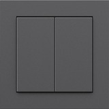 Friends of Hue Smart Switch, Taster