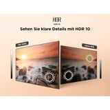 TCL 32SF560, QLED-Fernseher 81 cm (32 Zoll), schwarz, FullHD, Triple Tuner, Fire TV