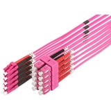 Digitus LWL Patchkabel, Duplex, LC > SC Stecker, Multimode OM4 hellviolett, 3 Meter