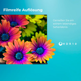 Toshiba 32LF3F63DAZ, LED-Fernseher 80 cm (32 Zoll), schwarz, FullHD, HDR, Triple Tuner, Fire TV