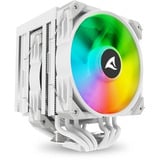 Sharkoon A60 RGB, CPU-Kühler weiß, 120 mm