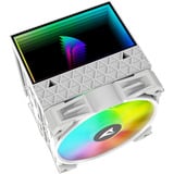 Sharkoon A60 RGB, CPU-Kühler weiß, 120 mm