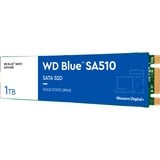 WD Blue SA510 1 TB, SSD blau/weiß, SATA 6 Gb/s, M.2 2280