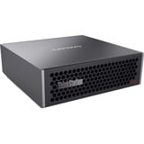 Lenovo ThinkStation PGX (30KL000FGF), Mini-PC schwarz, NVIDIA DGX OS