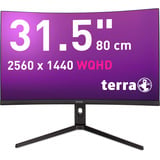 TERRA 3285W HA, LED-Monitor 80 cm (31.5 Zoll), schwarz (matt), WQHD, VA, Curved, HDMI, DP, USB-C, 180Hz Panel