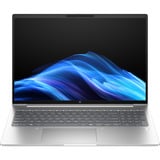 HP ProBook 4 G1i (AD2N8ET), Notebook silber, Intel® Core™ Ultra 5 225U, AMD Radeon 780M, 24 GB DDR5, 512 GB (512 GB SSD), Windows 11 Pro