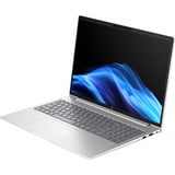 HP ProBook 4 G1i (AD2N8ET), Notebook silber, Intel® Core™ Ultra 5 225U, AMD Radeon 780M, 24 GB DDR5, 512 GB (512 GB SSD), Windows 11 Pro