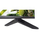 TCL 75T69C, QLED-Fernseher 189.3 cm (75 Zoll), schwarz, UltraHD/4K, Triple Tuner, Google TV