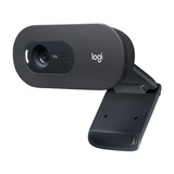 Logitech C505e, Webcam schwarz, Bulk