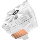 Sharkoon A50 RGB, CPU-Kühler weiß, 120 mm