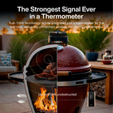 Typhur Sync Gold Dual, Thermometer schwarz, inkl. 2 Sonden