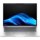 HP ProBook 4 G1a (C07P6ES), Notebook silber, AMD Ryzen 7 250, AMD Radeon 760M, 24 GB DDR5, 1 TB (1 TB SSD), Windows 11 Pro