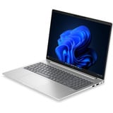 HP EliteBook 6 G2a (E02FYET), Notebook silber, AMD Ryzen 7 PRO 250, AMD Radeon 780M, 32 GB LPDDR5X, 1 TB (1 TB SSD), Windows 11 Pro