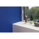 Netatmo Welcome, Netzwerkkamera gold