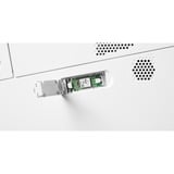 OKI C824dn, LED-Drucker grau/schwarz, USB, LAN, Duplex (Druck)