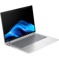 HP ProBook 4 G1a (AD2M9ET), Notebook silber, AMD Ryzen 7 250, AMD Radeon 780M, 32 GB DDR5, 1 TB (1 TB SSD), Windows 11 Pro