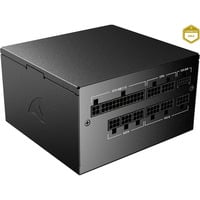 Sharkoon Rebel P20 Gen2 750, PC-Netzteil schwarz, 1x 12 Pin High Power Anschluss, 3x PCIe, Kabelmanagement, 750 Watt