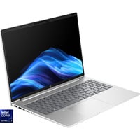 HP ProBook 4 G1i (AD2P0ET), Notebook silber, Intel® Core™ Ultra 7 255U, AMD Radeon 780M, 24 GB DDR5, 512 GB (512 GB SSD), Windows 11 Pro